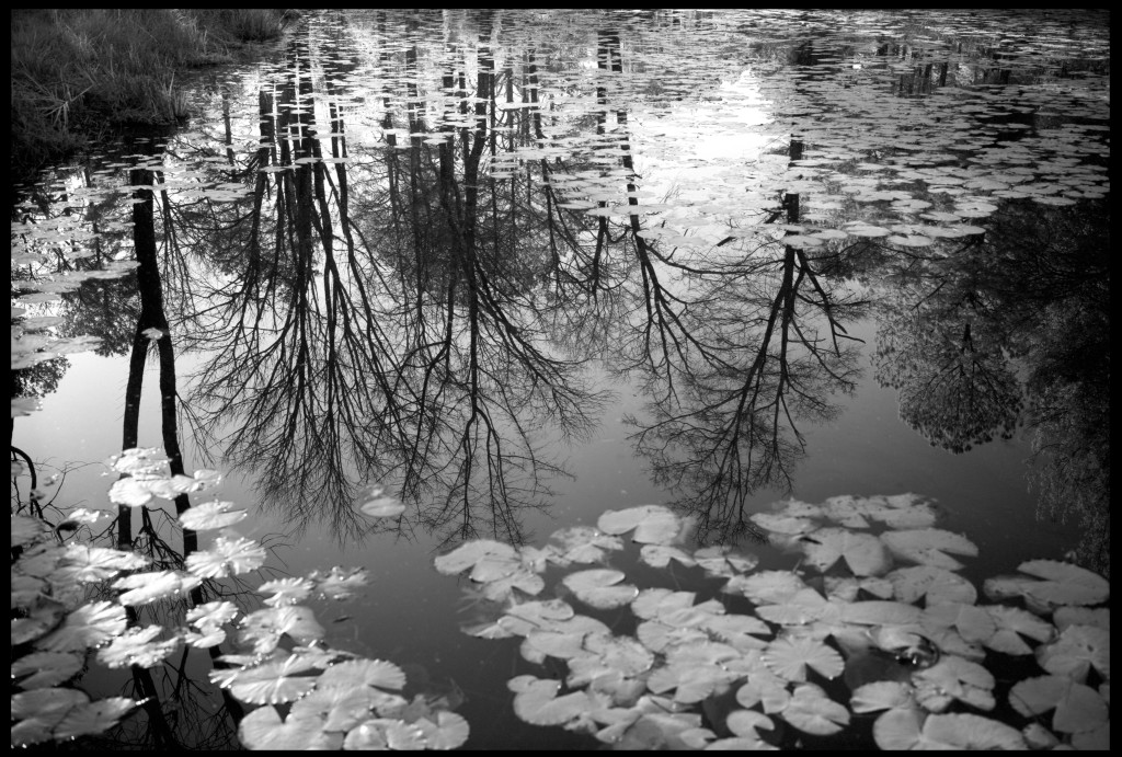 Tom's Pond - 1651 MergenDollar Road, Bostwick, GA - Summer he died 2006